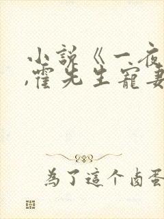 小说《一夜情深,霍先生宠妻无度》