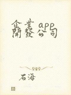 企业 app 开发公司