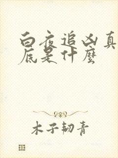 白夜追凶真相到底是什么