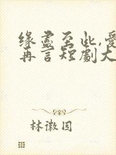 缘尽至此,爱不再言短剧大结局