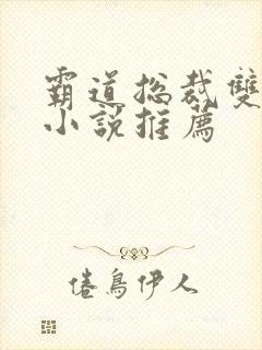 霸道总裁双男主小说推荐