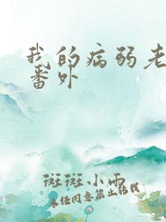 我的病弱老婆 番外
