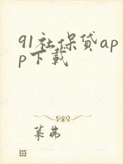 91社保贷app下载