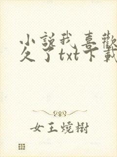 小说我喜欢你很久了txt下载