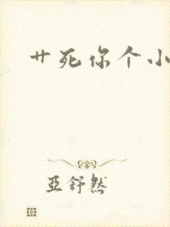 艹死你个小骚货