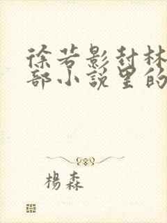 徐若影封林是哪部小说里的人物