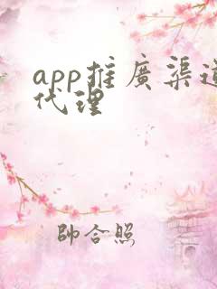 app推广渠道代理