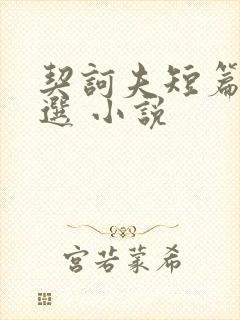 契诃夫短篇小说选 小说