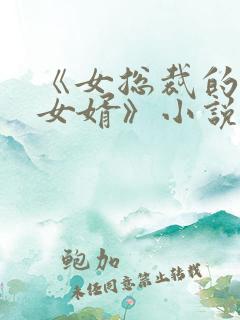 《女总裁的上门女婿》小说