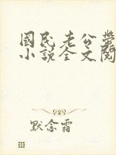 国民老公带回来小说全文阅读