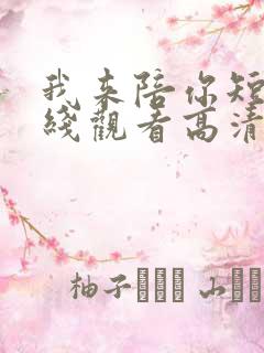 我来陪你短剧在线观看高清