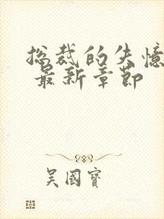 总裁的失忆甜妻 最新章节