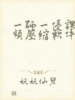 一师一优课 视频压缩软件