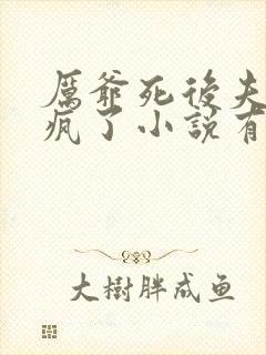 厉爷死后夫人她疯了小说有声免费阅读