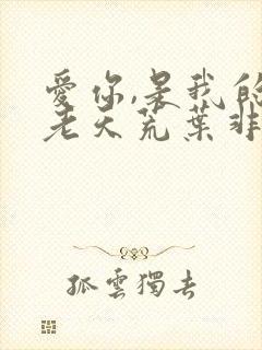 爱你,是我的地老天荒叶非夜