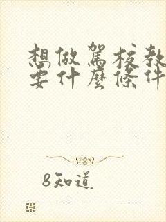 想做驾校教练需要什么条件