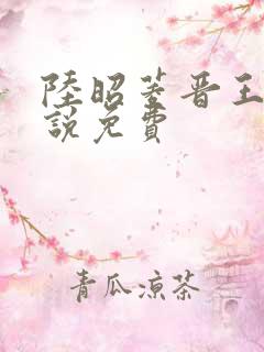 陆昭菱晋王的小说免费