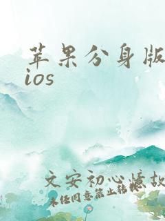 苹果分身版微信ios