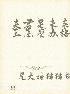 夫君是未来大魔王怎么办格格党