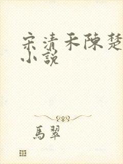 宋清禾陈楚尧的小说