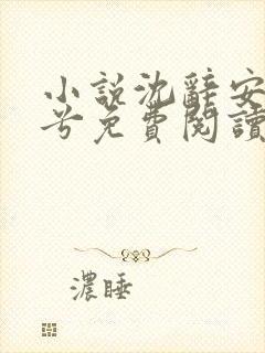 小说沈辞安乔若兮免费阅读