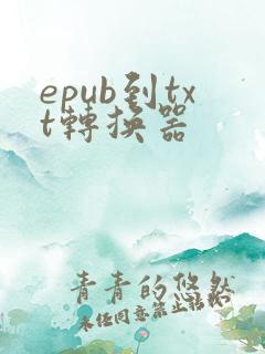 epub到txt转换器