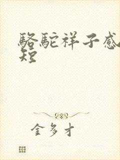 骆驼祥子感悟简短