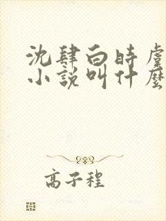 沈肆白时虞原著小说叫什么名字