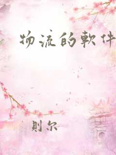 物流的软件开发