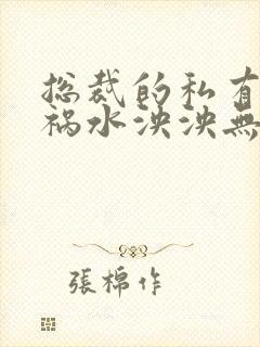 总裁的私有宝贝祸水泱泱无删减