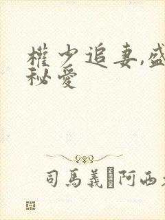 权少追妻,盛婚秘爱