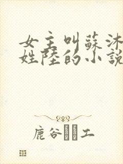 女主叫苏沐男主姓陆的小说