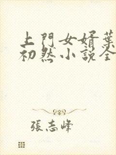 上门女婿叶辰萧初然小说全集