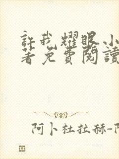 许我耀眼小说原著免费阅读