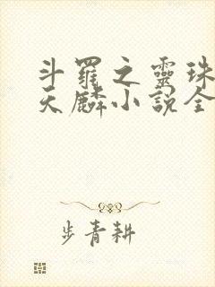 斗罗之灵珠神剑天麟小说全集看