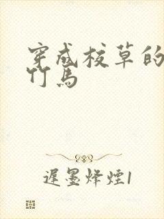 穿成校草的炮灰竹马