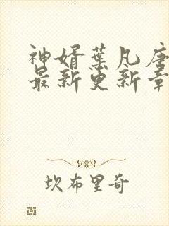 神婿叶凡唐若雪最新更新章节