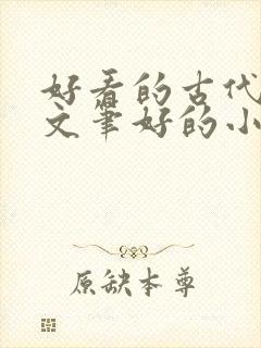 好看的古代言情文笔好的小说