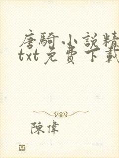 唐骑小说精校版txt免费下载