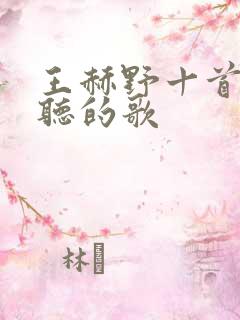 王赫野十首最好听的歌