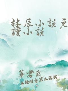 林辰小说免费阅读小说