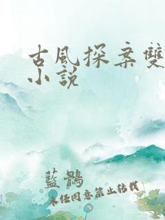 古风探案双男主小说