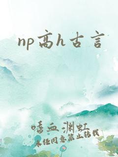 np高h古言