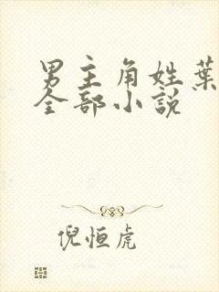 男主角姓叶辰的全部小说