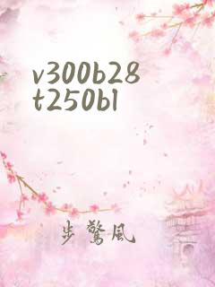 v300b28t250bl