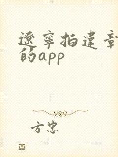 辽宁拍违章挣钱的app