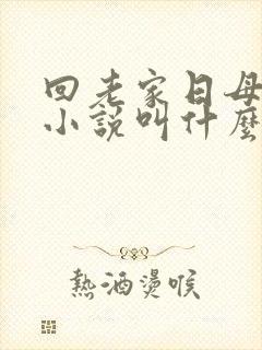 回老家日母原著小说叫什么名字