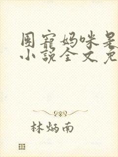 团宠妈咪是大佬小说全文免费阅读