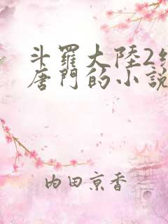 斗罗大陆2绝世唐门的小说