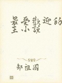 最受欢迎的双男主小说